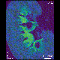 microrobot.gif