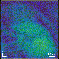 rf_sensor.gif